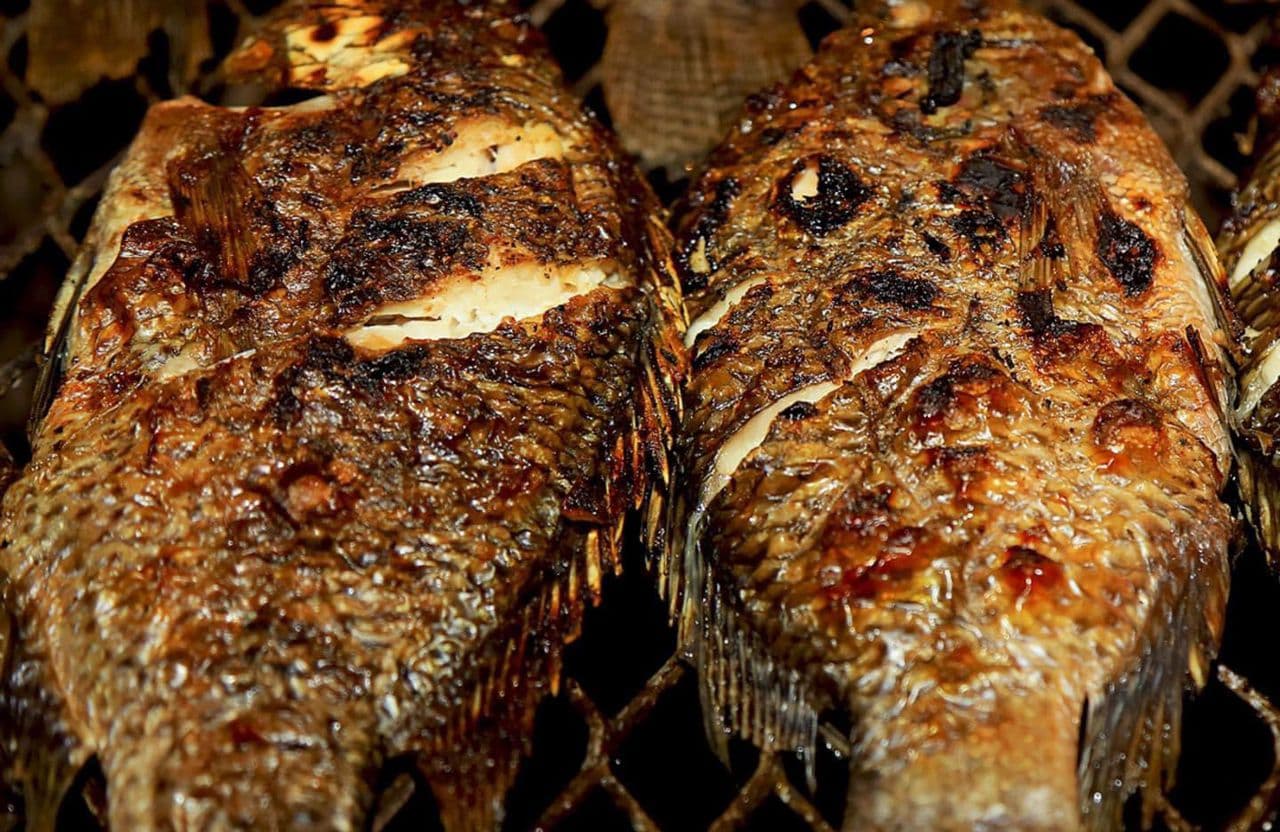 Deux tilapias entiers braisés sur grill au feu de bois